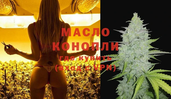 дмт Ладушкин