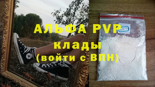 дмт Ладушкин