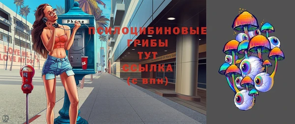 дмт Ладушкин