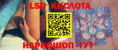 крисы Вязьма