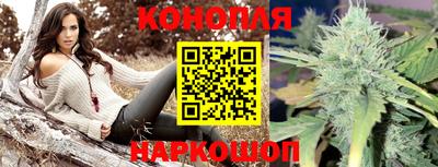 крисы Вязьма