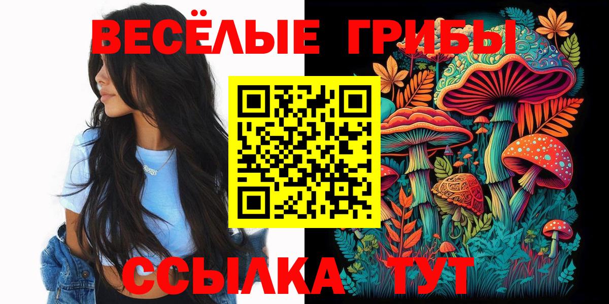 Моршанск  Галлюциногенные грибы GOLDEN TEACHER  Вход с VPN 